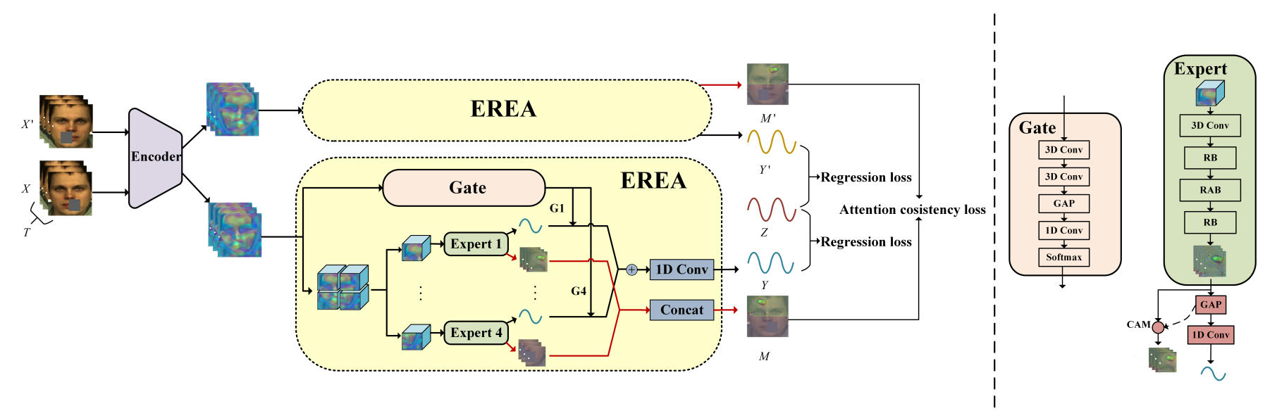 Toward Motion Robustness: A Masked Attention Regularization Framework in Remote Photoplethysmography